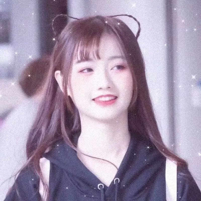 档案风暴