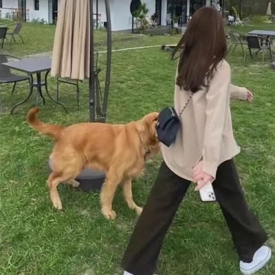 波兰电影
